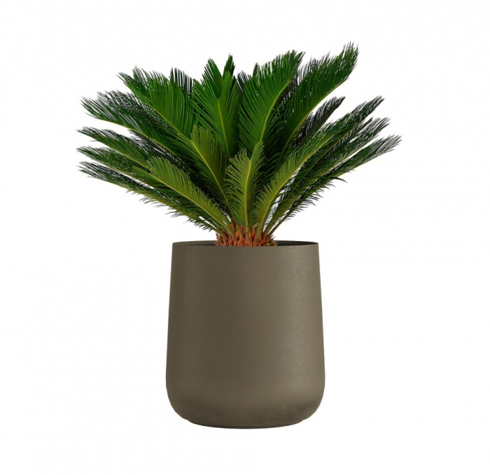 Кашпо CONCRETIKA CONE OLIVE D50H54