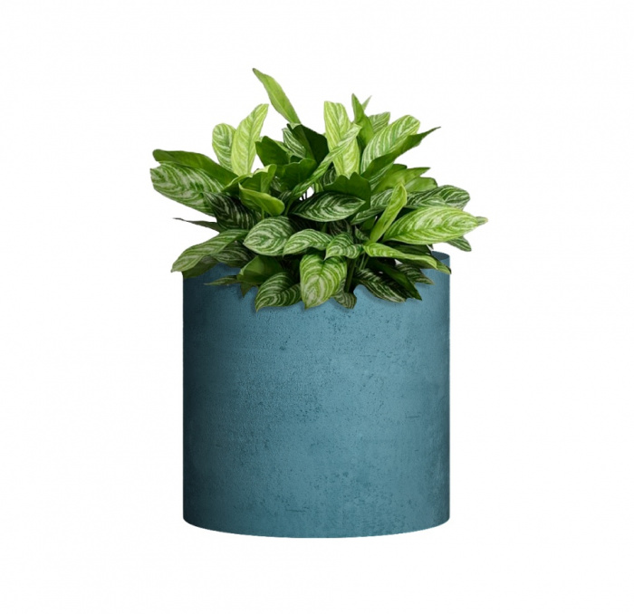 Кашпо CONCRETIKA CYLINDER MURENA D30H30
